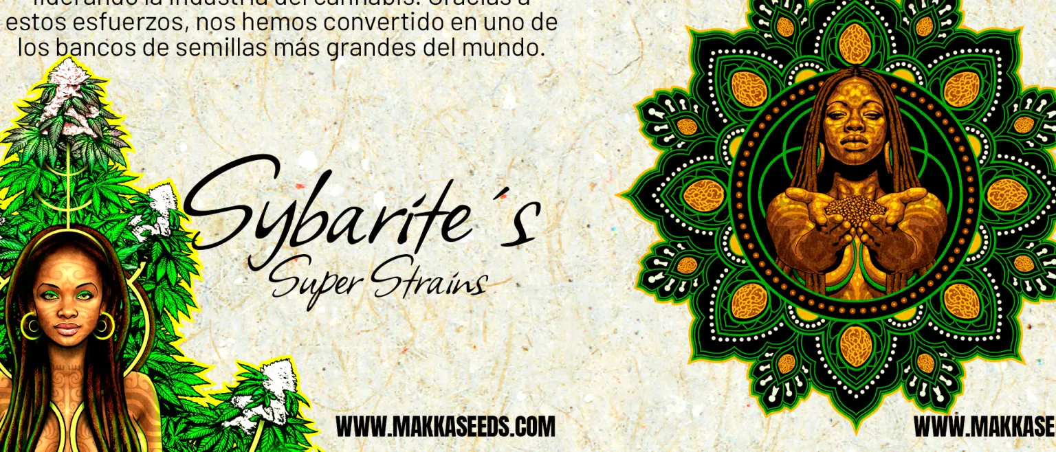 catalogo