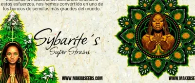 Camiseta Makka Seeds