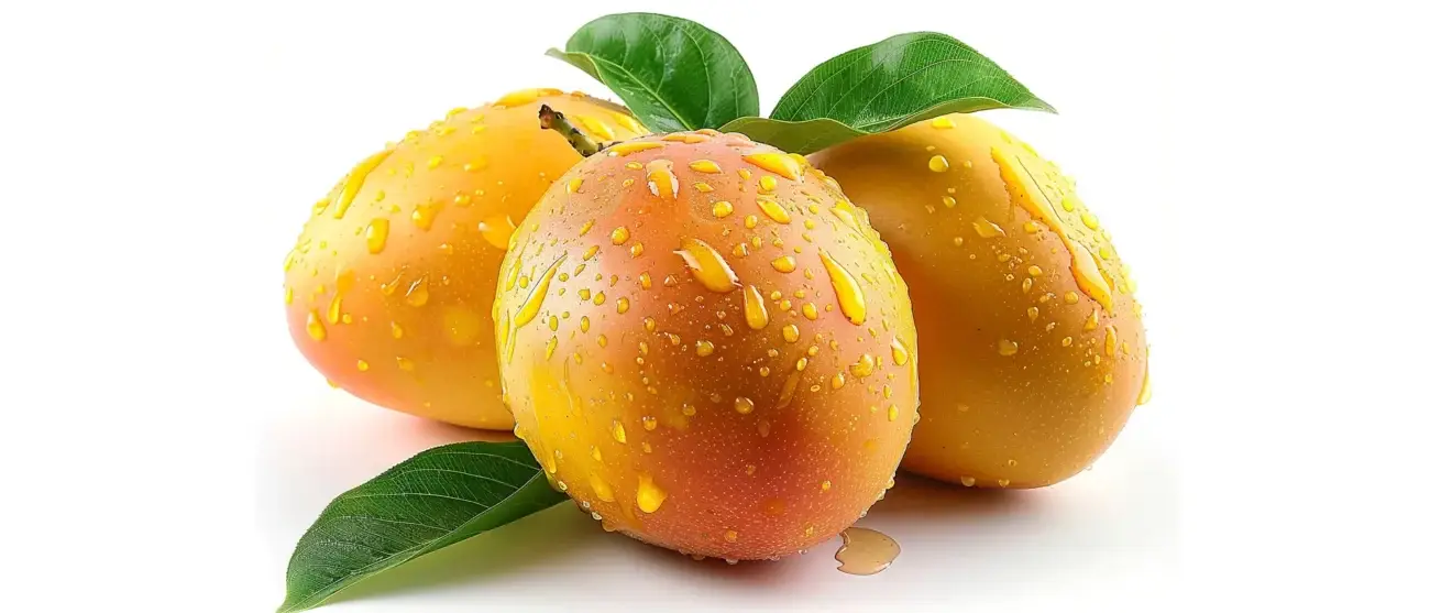 Mangos y cannabis: guía completa 2026 para potenciar